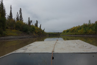 The Mackenzie Delta as seen by Inuvialuit and Gwich’in travellers in a boat, on the way to a berry-picking trip close to the hamlet of Aklavik. September 2017. Photograph by Franz Krause.