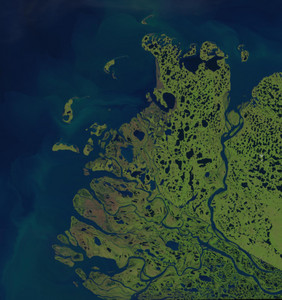 Figure 1: A geography-textbook version of a river delta: satellite image of the north-eastern section of the Mackenzie Delta in the Inuvialuit Settlement Area, Canada, from July 2017. Courtesy of the U.S. Geological Survey. 